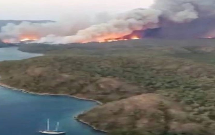 YAHUDİ GASPÇILAR FİLİSTİNLİ GENCİ BIÇAKLAYARAK KATLETTİ